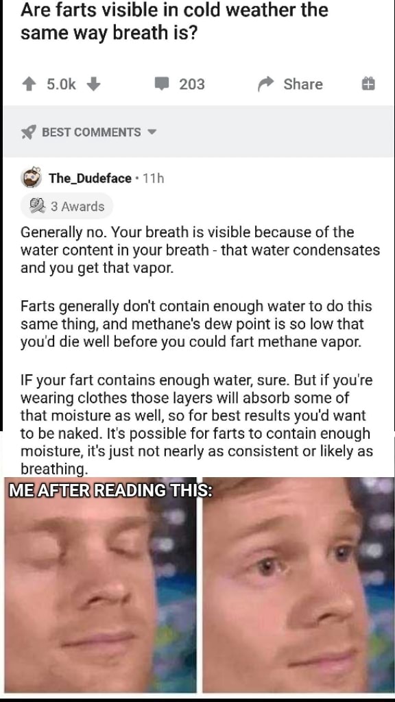 Are farts visible in cold weather the same way breath is? 203 Share