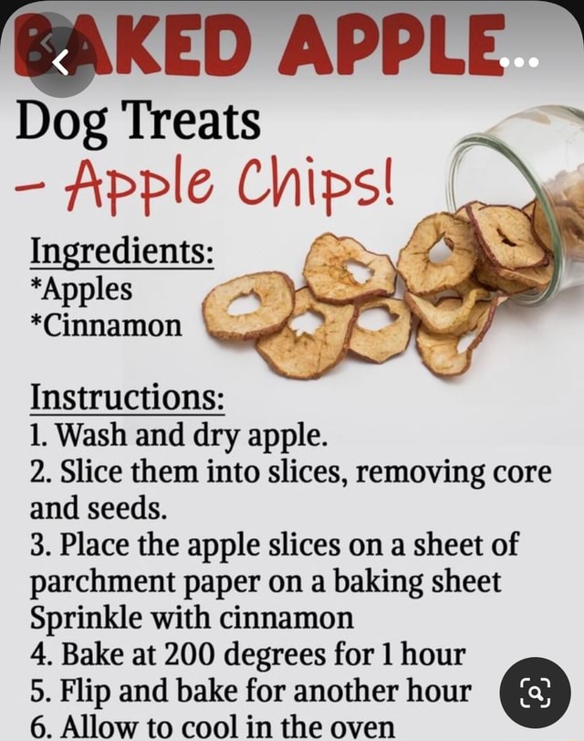 @AKED APPLE Dog Treats Apple Chips! I Ingredients: *Apples *Cinnamon ...