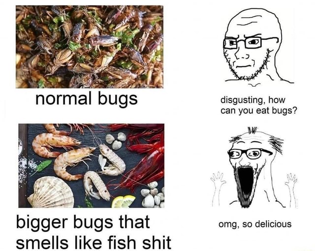 Normal bugs disgusting, how can you eat bugs? bigger bugs that omg, so