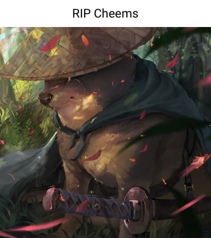 RIP Cheems AS - iFunny