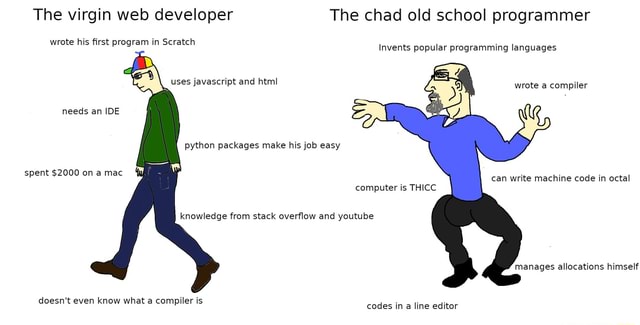 The virgin web developer The chad old school programmer wrote his first ...