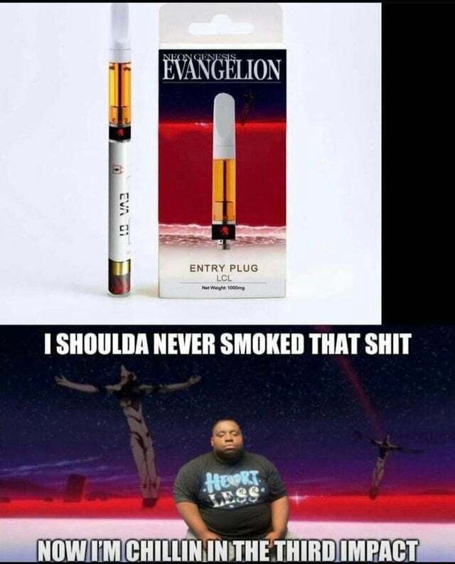EVANGELION SHOULDA NEVER SMOKED THAT SHIT - iFunny