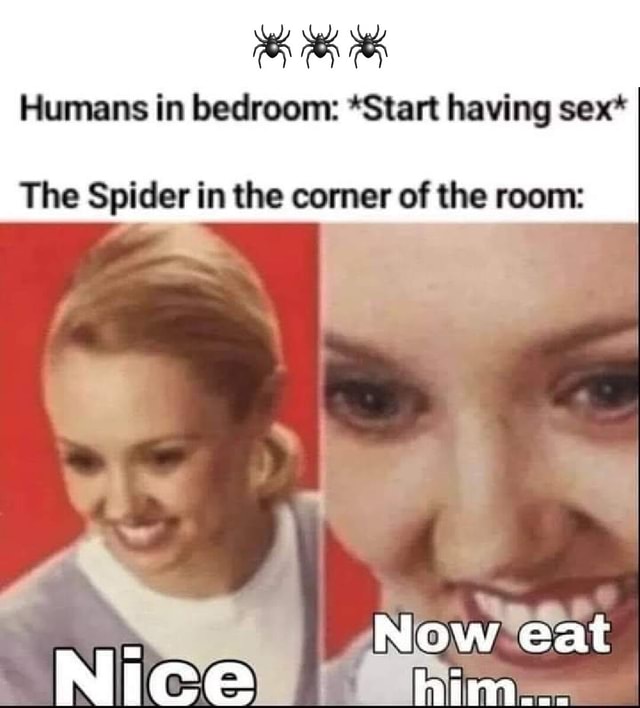 Humans In Bedroom Start Having Sex The Spider In The Corner Of The