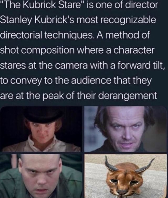 The Kubrick Stare is one of director Stanley Kubricks most recognizable  directorial techniques A method of shot composition where a character  stares at the camera with a forward tilt to convey to