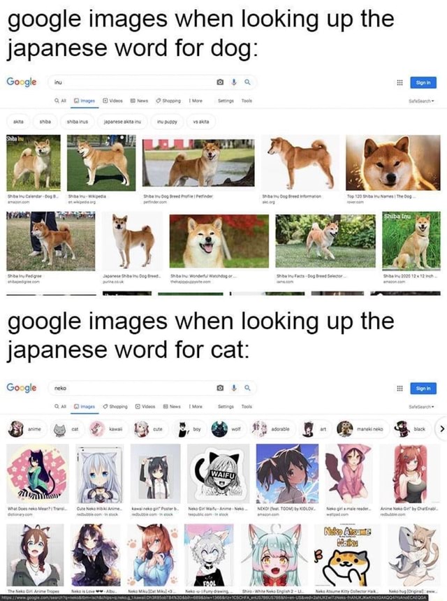 google-images-when-looking-up-the-japanese-word-for-dog-google-e-ata-e