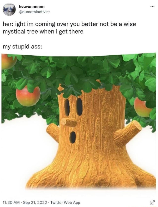 since wise mystical trees are the next big meme you better not