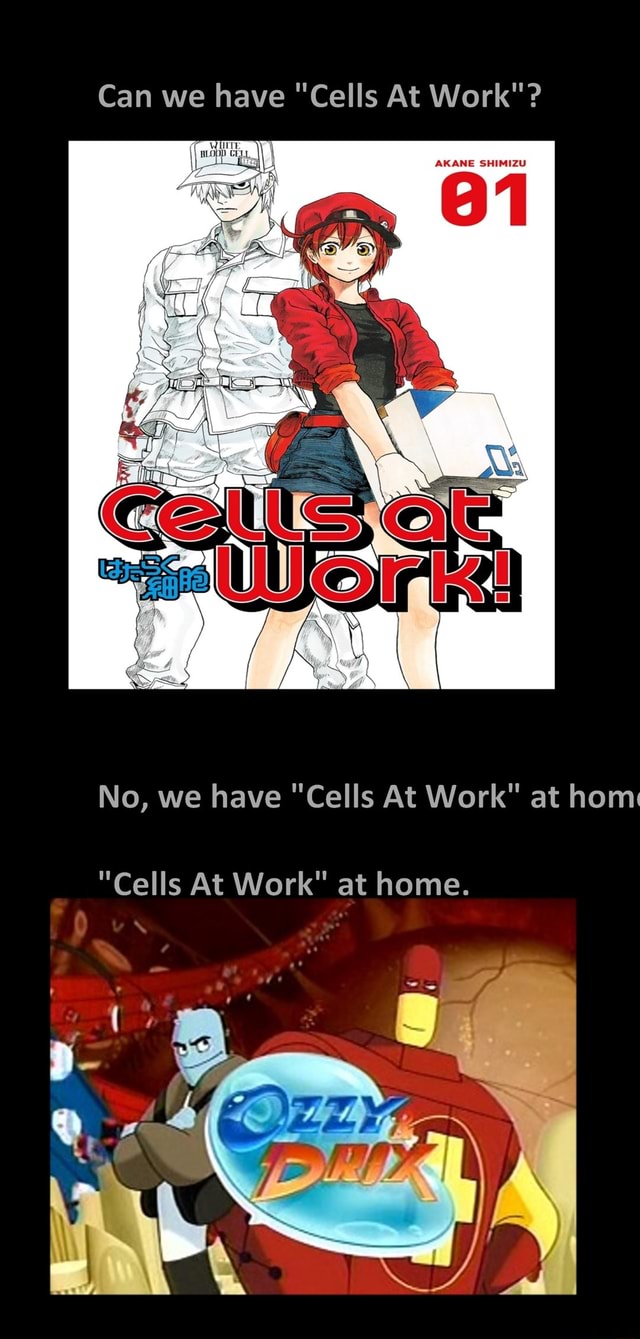 can-we-have-cells-at-work-akane-shimizu-no-we-have-cells-at-work