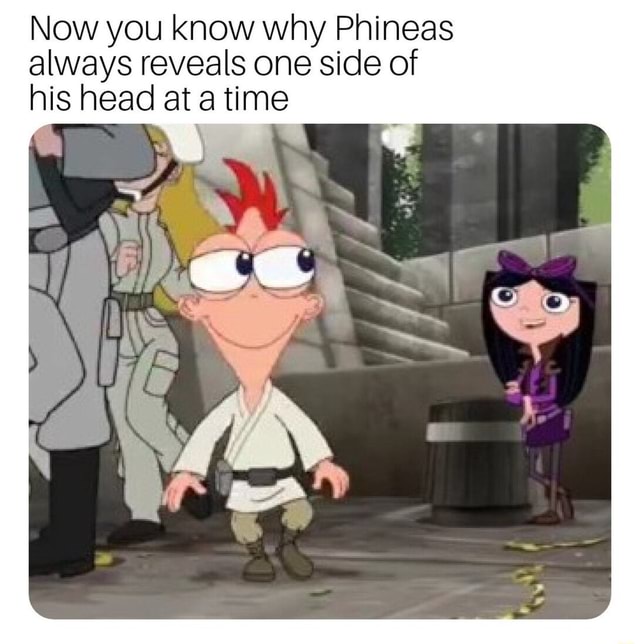 Now you know why Phineas always reveals one side of his head at a time ...