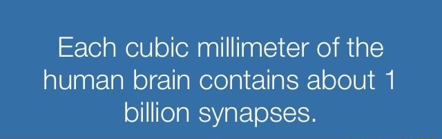 Each cubic millimeter of the human brain contains about 1 billion ...