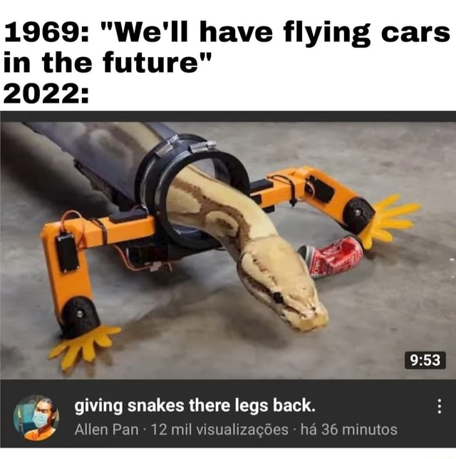 1969 "We'll have flying cars in the future" 2022 giving snakes there