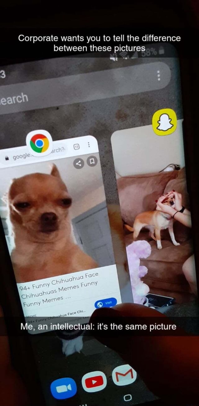 Corporate wants you to tell the difference between these pictures ifunny