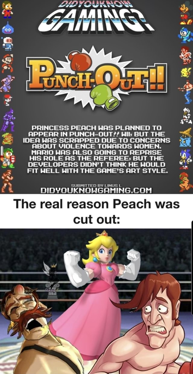 FIT WELL WITH THE GAME'S ART STYLE. LIP af ar en PRINCESS PEACH WAS