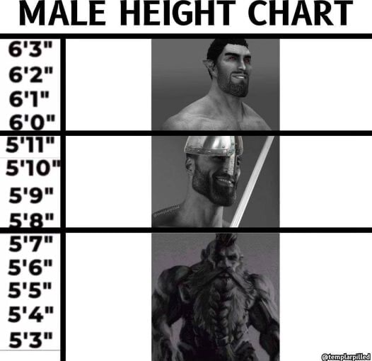 MALE HEIGHT CHART I - iFunny