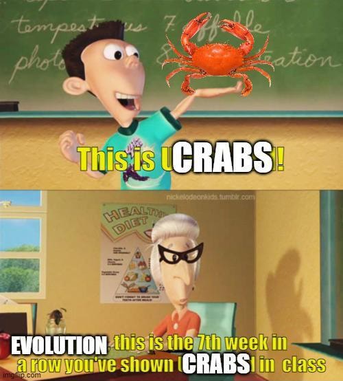 CRABS EVOLUTION shown CRABS class America’s best pics and videos