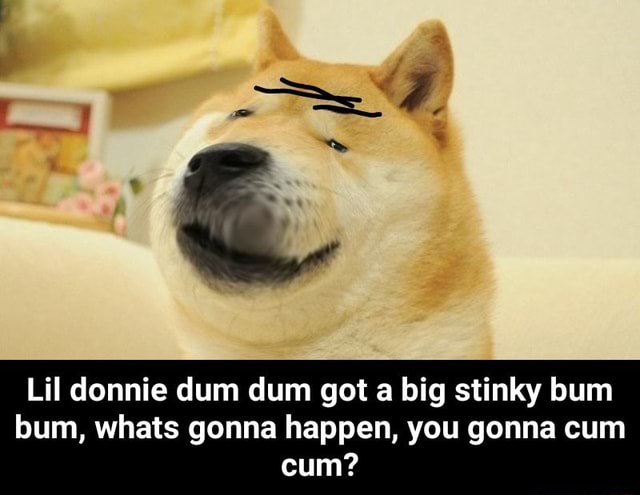 Lil donnie dum dum got a big stinky bum bum, whats gonna happen, you ...