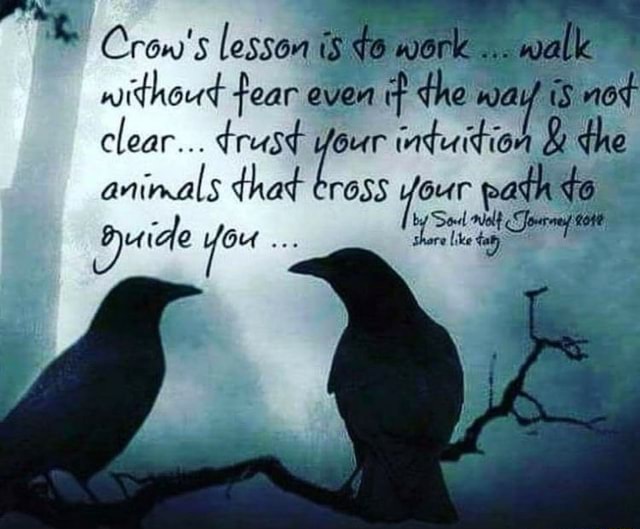 Crow's lesson TO WOrk wa without fear even dhe way is clear... dreast Our  intuitio & the hat juide - )