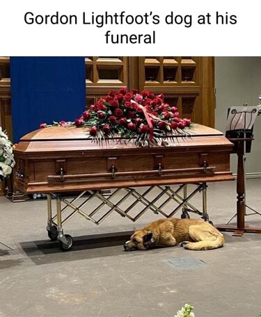 Gordon Lightfoot's dog at his funeral - iFunny Brazil