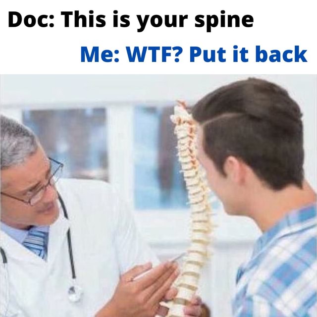 Doc: This is your spine Me: WTF? Put it back - iFunny