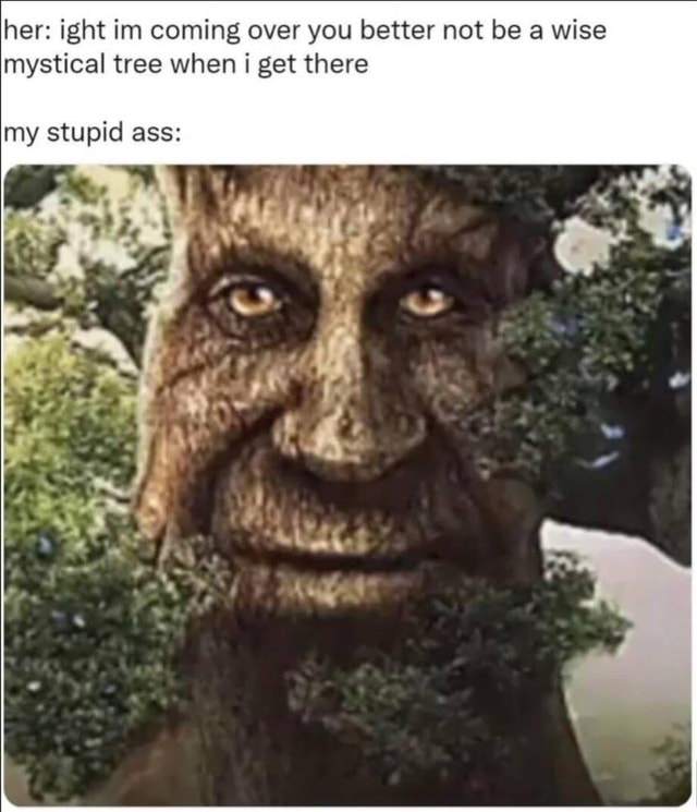 Some of my wise mystical tree memes : r/wisemysticaltree