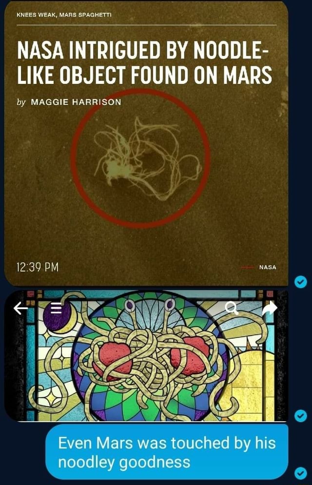 WEAK, MARS NASA INTRIGUED BY NOODLE LIKE OBJECT FOUND ON MARS by