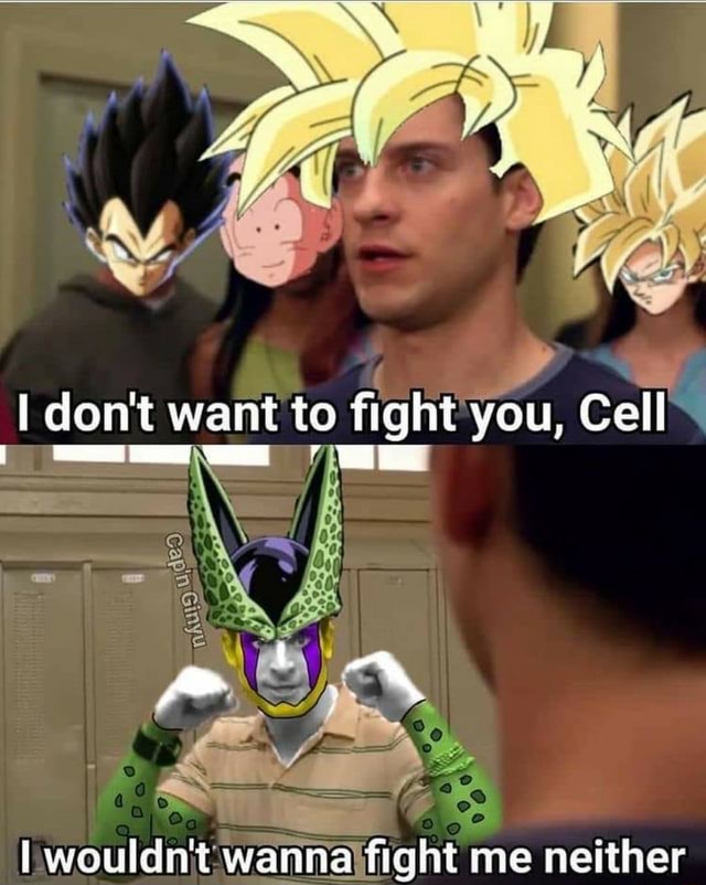 Sx iN don't want to fight you, Cell I wouldn't wanna fight me neither ...