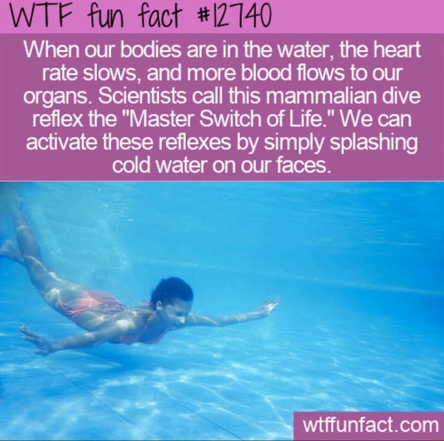 WTF fun fact 12140 When our bodies are in the water, the heart rate