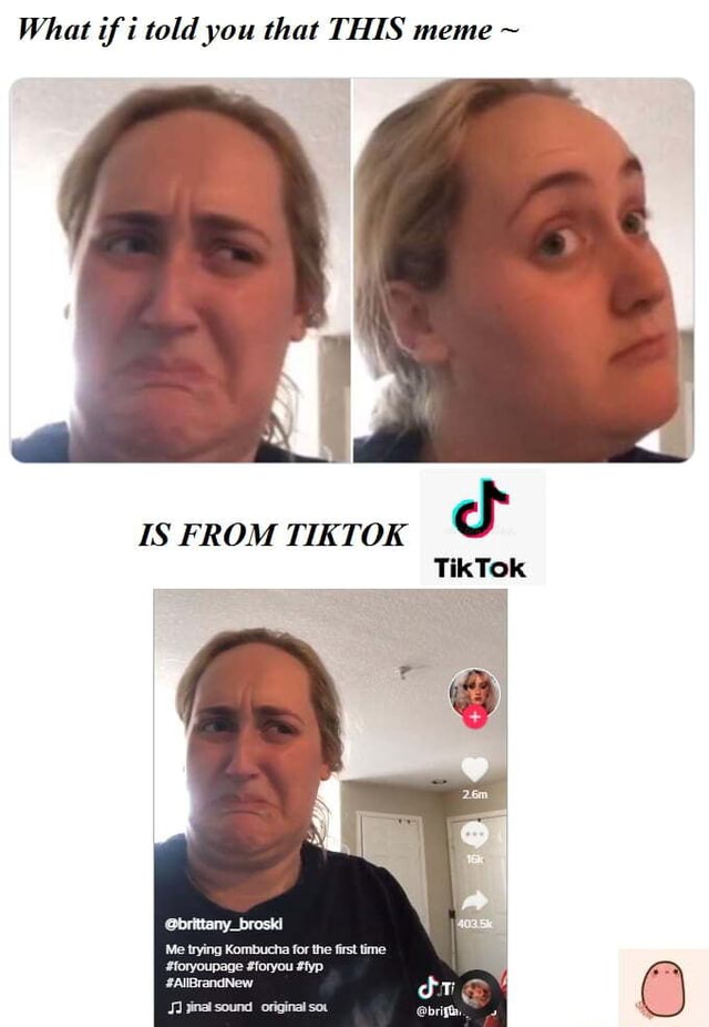 What if i told you that THIS meme ~ IS FROM TIKTOK TikTok @brittany ...