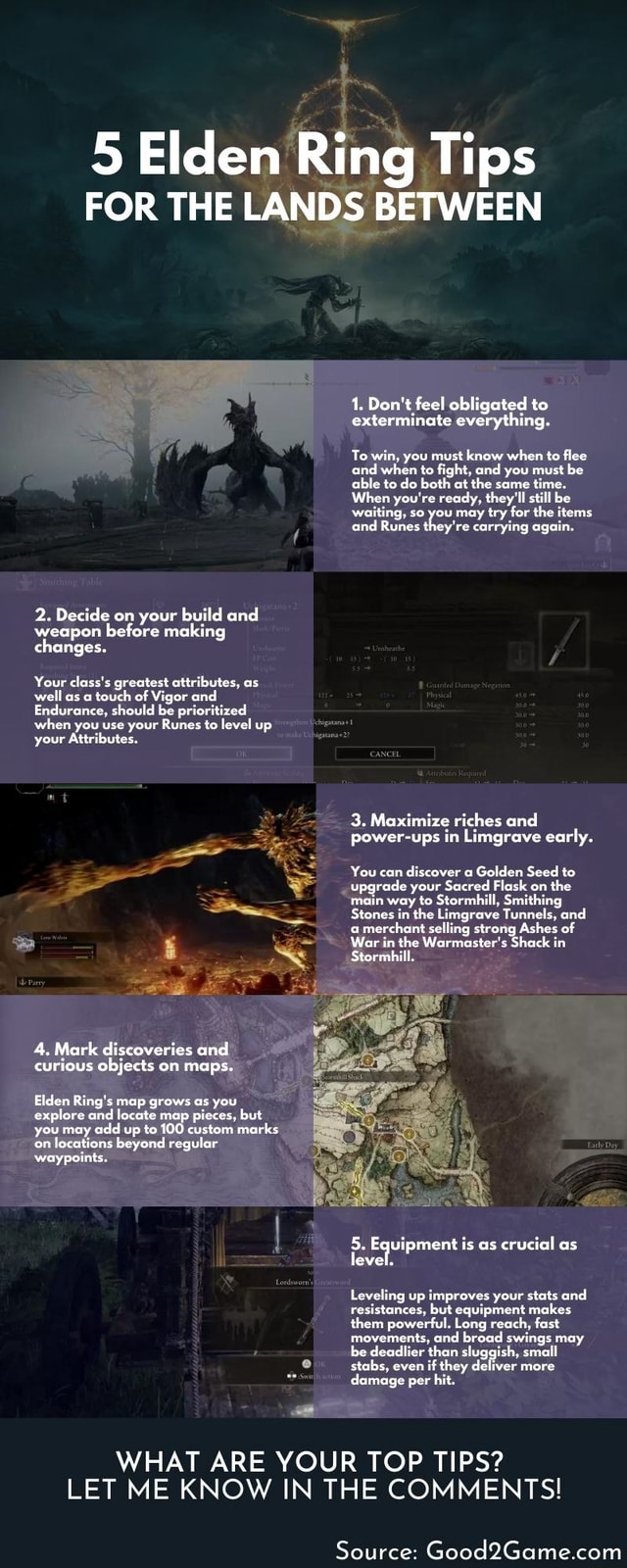 5 Elden Ring Tips For The Lands Between [Infographic] - 5 Elden Ring ...