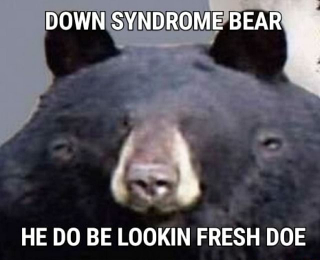 DOWN SYNDROME BEAR HE DO BE LOOKIN FRESH DOE - iFunny