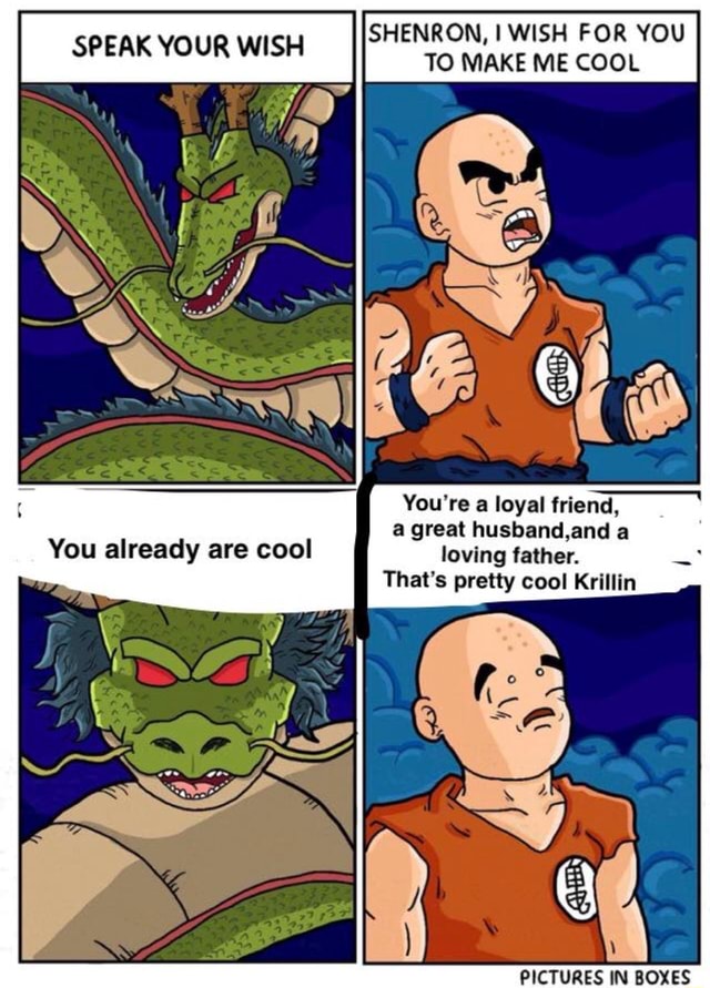 SHENRON, I WISH FOR YOU TO MAKE ME COOL SPEAK YOUR WISH You're a loyal