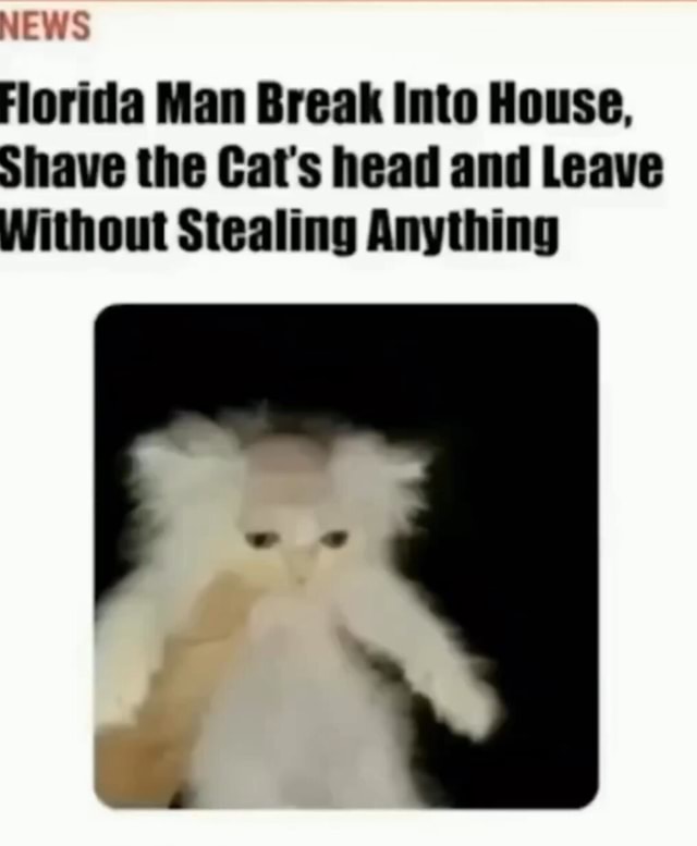 NEWS Florida Man Break Into House, Shave the Cat's head and Leave