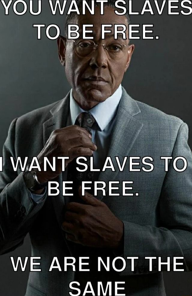 I Want Slaves To Be Free Meaning