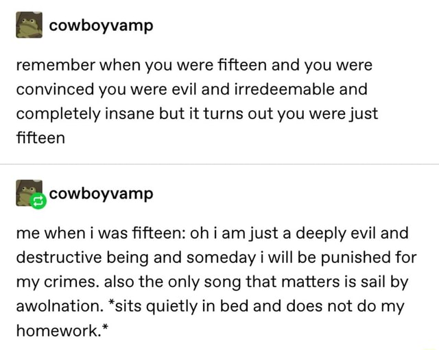 Remember when you were fifteen and you were convinced you were evil and  irredeemable and completely insane but it turns out you were just fifteen E  cowboyvamp me when i was fifteen: