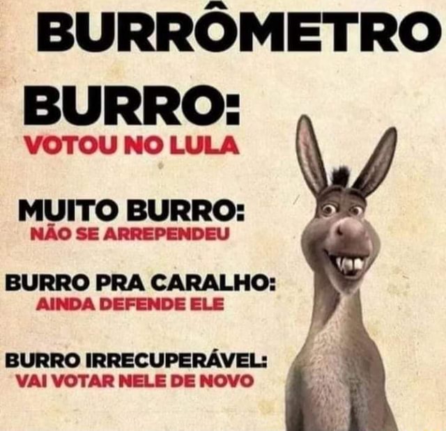 BurrÔmetro Burro Muito Burro NÃo Se Arrependeu Burro Pra Caralho