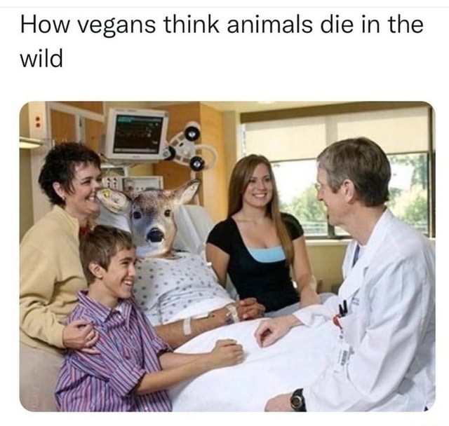 how-vegans-think-animals-die-in-the-wild-sss