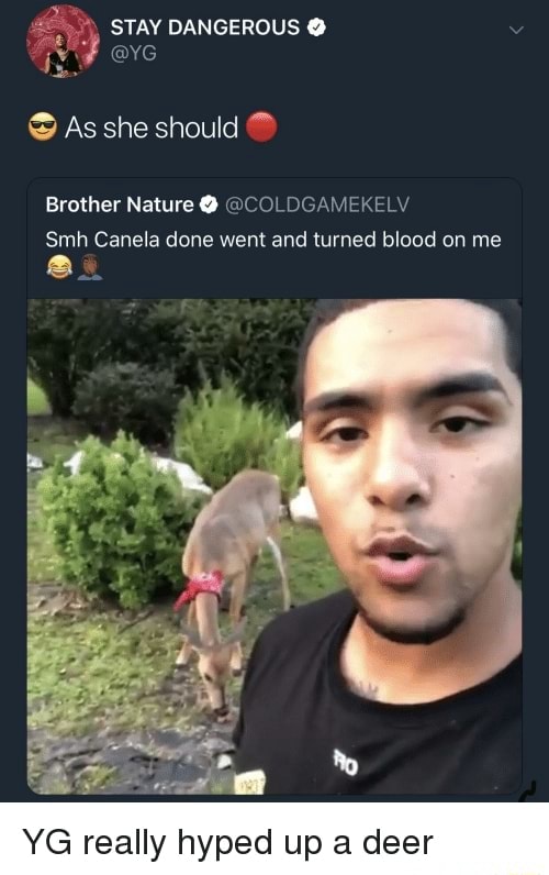 STAV DANGEROUS , Brother Nature O @COLDGAMEKELV Smh Canela done and turned on me really up a deer - )