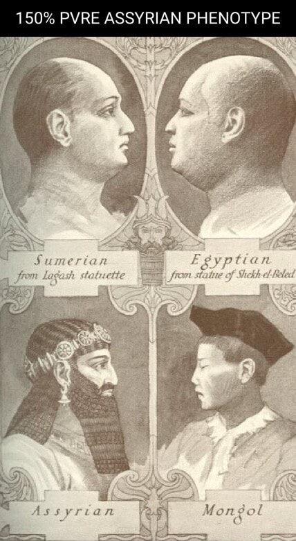 150-pvre-assyrian-phenotype-sumerian-seo-title