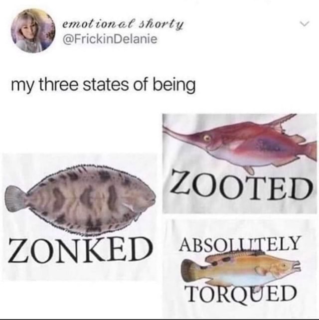 Emottonal shortly frickindelanie my three states of being zooted