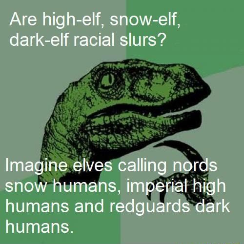 Are highelf, snowelf, darkelf racial slurs? Imagine elves calling