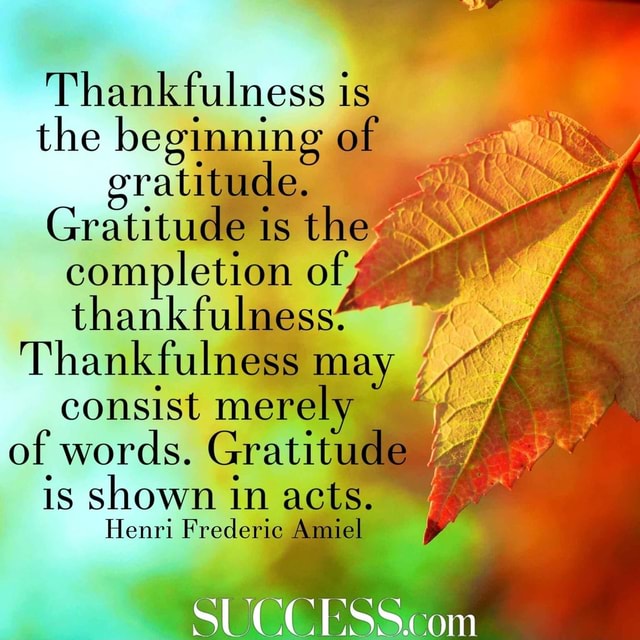 Thank ffuullm is the beginning of gratitude. Gratitude is the ...