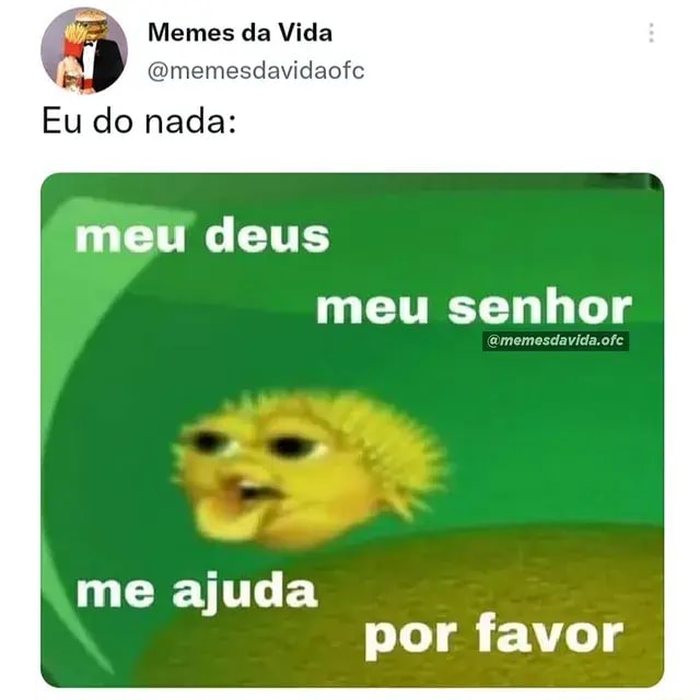 Memes Da Vida Eu Do Nada Meu Deus Meu Senhor Amemesdavidaofe Me Ajuda