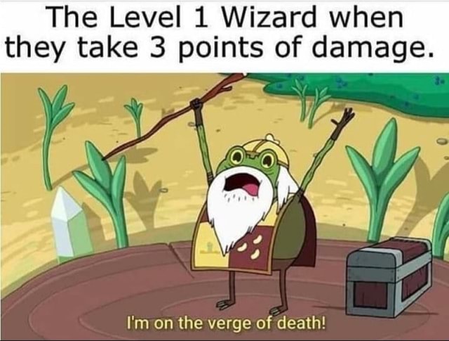 The Level 1 Wizard When They Take 3 Points Of Damage I M On The Verge Of Death