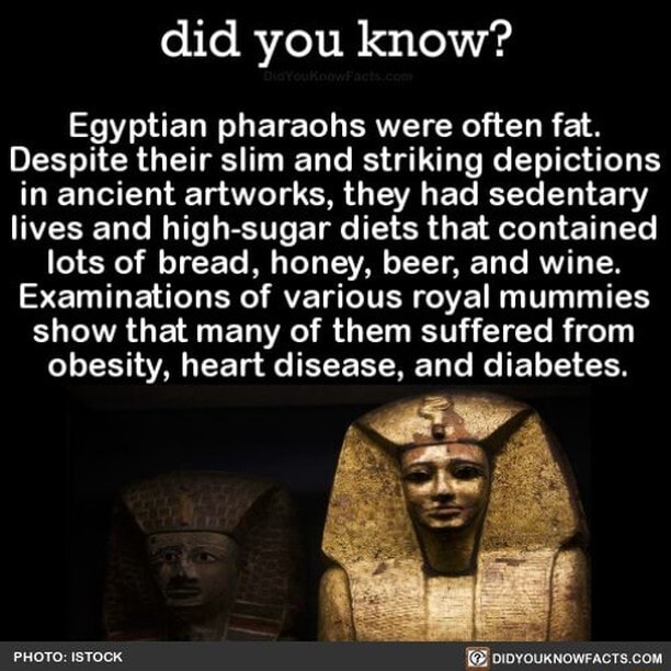 Did you know? Egyptian pharaohs were often fat. Despite their slim and ...