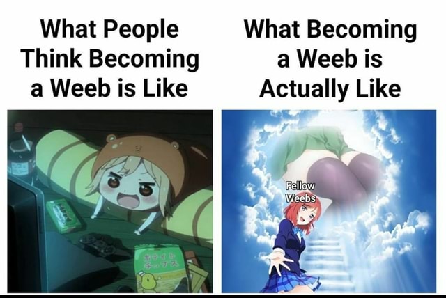 What People What Becoming Think Becoming A Weeb Is A Weeb Is Like Actually Like Fallow Weebs