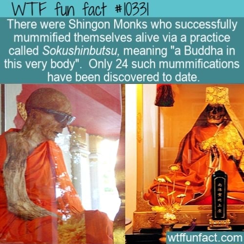 Fun Fact 10331 There Were Shingon Monks Who Successfully Mummified