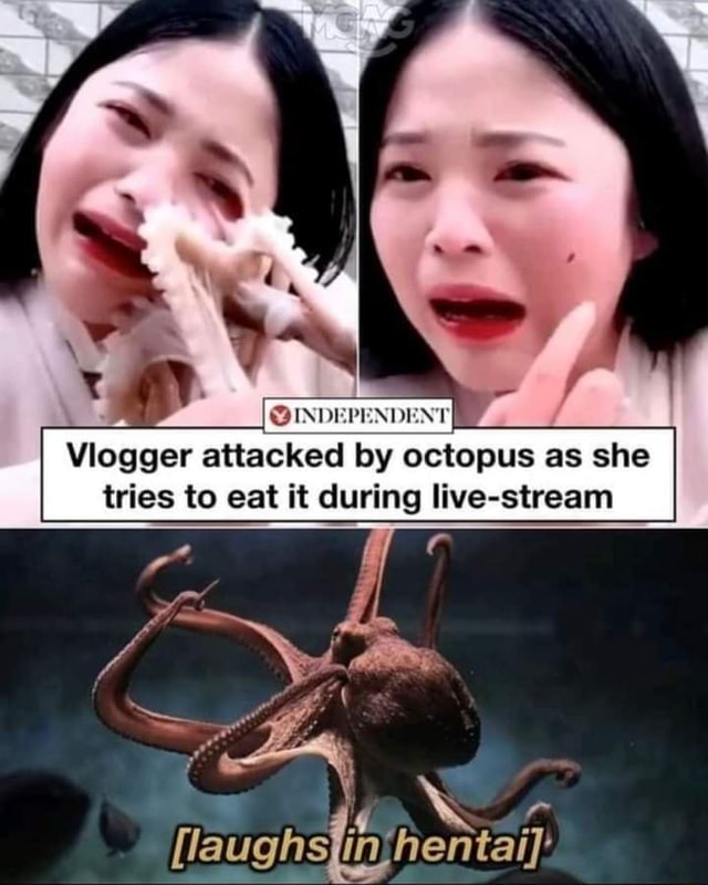 Independent Vlogger Attacked By Octopus As She Tries To Eat It During Live Stream Flaughs In