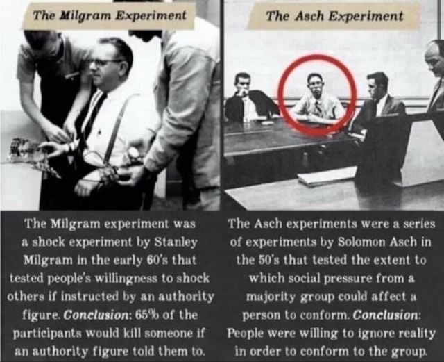 asch milgram experiment