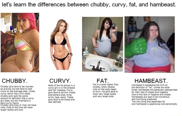 Let s Learn The Differences Between Chubby Curvy Fat And Hambeast Let s Learn The Differences Between Chubby Curvy Fat And Hambeast
