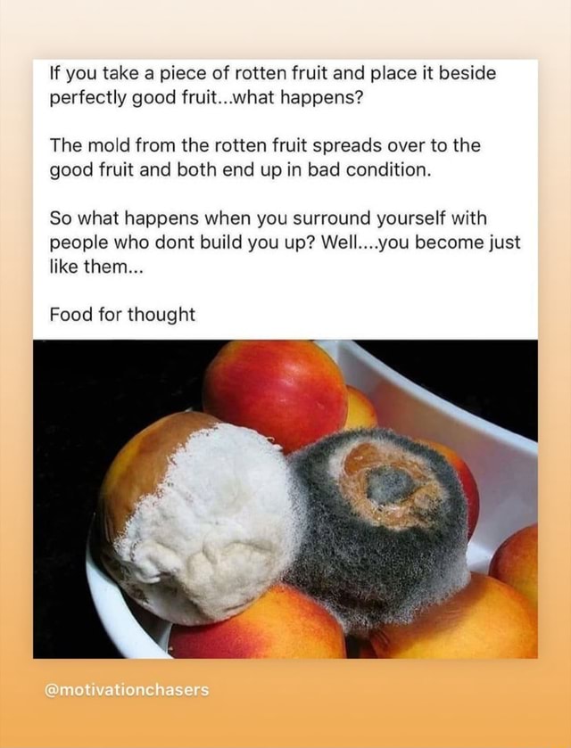 If you take a piece of rotten fruit and place it beside perfectly good