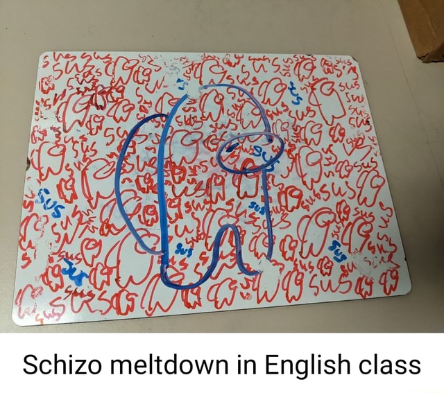 schizo-meltdown-in-english-class